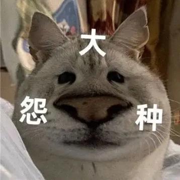 ��ԩ��ʲô��˼��� ԩ�ֽ��ù������������